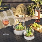 Large Round Glass With Cement Base Indoor Outdoor Terrarium 6 62 x6 62 