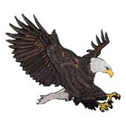 Bald Eagle Applique Patch - Embroidered American Bird Badge 3-7 8   iron On 