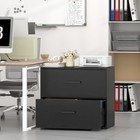 2 Drawer Lateral File Cabinet  Printer Stand Black File Cabinets For Home Office