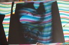 10 Ounces Of Animal X-ray Film   real X-rays  17  X 13  Mostly  Silver Content