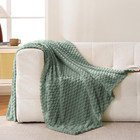 Sage Green Flannel Throw Blanket  50x70 Inches   300 Gsm Fleece Cozy Warm Soft H