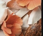 Eos 24h Coconut Waters Shea Better Body 