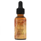 Sweet Pumpkin Spice Latte Beard Oil - A Holiday Favorite Coffee Scent