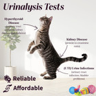 Pet Urine Test Strips   Vet  Cat  Dog   10 Parameter Urinalysis   50 Test Tub