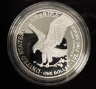 2026 W 250th Anniversary Proof Sliver Eagle Fdoi Liberty