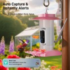 Hummingbird Feeder With Camera Outdoor  Sv3c Hanging Bird Feeder With Ant Moat  
