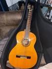 Jasmine By Takamine Guitar 