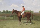 Old Master-art Antique Oil Painting Hunting Horse On Canvas 24 x36 