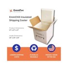Premium 17  Insulated Shipping Box  Durable   Recyclable  Made In The Usa