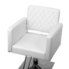 Hydraulic Barber Chair Salon Hair Styling Shampoo Beauty Spa Equipment  footrest