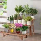 Large 3 Tier Step Plant Stand Wood Ladder Shelf Garden For Patio Indoor Outdoor