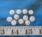   Sand Dollars   10    mini   3 8     White   Shellcraft   Sailor s Valentines  