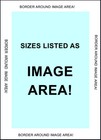 1800 s Map New South Wales Australia Sydney Vintage Poster Repro