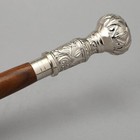 Wooden Walking Stick For Seniors  Silver Head Rosewood Brown Shaft Cane