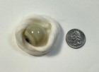 Antique German Hand-blown Human Prosthetic Glass Eye   Full Eyeball   Grey Iris 