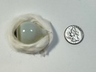 Antique German Hand-blown Human Prosthetic Glass Eye   Full Eyeball   Multi-grey