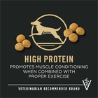 Purina Pro Plan Large Breed Adult Dry Dog Food - Chicken   Rice - 34 Lb  Bag