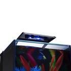 Aquarium Kit 3 Gallons  Includes Led Lighting And Filter