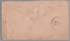 1892 Fort Pierre South Dakota Scarce Leaf   Shamrock   Clover Fancy Cancel Cover