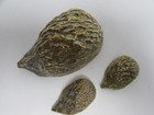 ref1ci  Brass Hedgehog Family