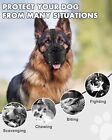 Dog Muzzle  Leather Muzzle For Medium Large Sized Dogs  Secure Basket Muzzle Nib