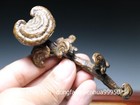 China Folk Collect Old Copper Lucky Fengshui Ganoderma Lucidum Ruyi Ornaments