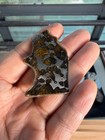 8 8grams Sericho Pallasite Meteorite Slice