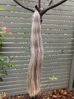 Horse False Tail Double Light Gray Oz  80cm 32    360g False Horse Tail Extended