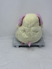 Ty Baby Ty Dogbaby The Puppy Dog 10  Plush Stuffed Rattle Toy