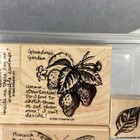 Stampin Up Nature Birds Sketchbook Wood Mount Rubber Set 6 Nature Inspiration