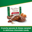 Russell Stover Sugar-free Pecan Delight Chewy Caramel Chocolate Candy  4 Pounds 