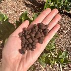 5 Lb  small  Expanded Clay Pebbles For Plant Hydroponics  Drainage  Gardening