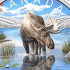 2024 Canada Wildlife Reflections Moose 1 Oz Silver Colorized Proof Coin