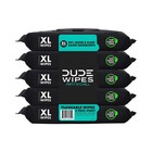 Dude Wipes Flushable Wipes  Xl Wet Wipes For At Home Use  Mint Chill  240 Count