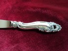 Sterling Silver Flatware Hollow Handle Butter Spreader Gorham Decor