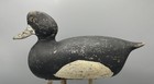   late 1800s early 1900s    Branford    Ct Bluebill Drake Antique Duck Decoy