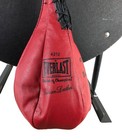 Everlast Red Speed Bag 4212 With Platform   Rails