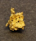 Gold Specimen Crystalline Gold  0 35 Gram  Muleshoe Mine  Siskiyou Co  Ca