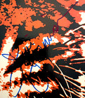 Survivor - Eye Of The Tiger - Autographed Signed Album Jimi Jamison  read Desc  