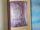 Ballet Folklorico De Bellas Artes - Mexico 1961 - Program With Nice Photos