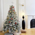 Christmas Classic Blue Spruce  6 5    Tree With Clear Lights   196041205631