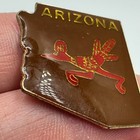Vintage Arizona Roadrunner State Outline Enamel Lapel Pin Brown Red Souvenir