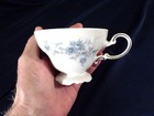 Johann Haviland  Bavaria  Germany  blue Garland  Replacement Footed Cup s 