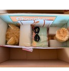Chongker 24 8in Matecat Pro Orange Tabby Cat Interactive Robot Pet Complete