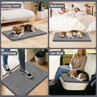Functional Chenille Dog Mat 35x23 - Absorbs Dirt   Moisture  Machine Washable