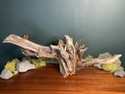 Large 29    Manzanita Driftwood Branch  Aquarium Terrarium Aquascaping  Home Decor