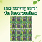 12 X Nicorette Quickmist Duo Cool Berry Mouthspray 1mg 13 2ml X 2ct-free Ship