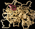 Large Lot Vintage White Plastic Cookie Cutters Mostly Animals Some Dupes