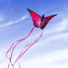 1pc Red Beautiful Butterfly Kites Red Crystal Butterfly Kites With 100m String