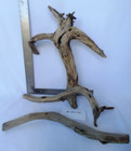 Driftwood Lot  3  Manzanita Branch Aquarium Terrarium Aquascape Reptile  holes 